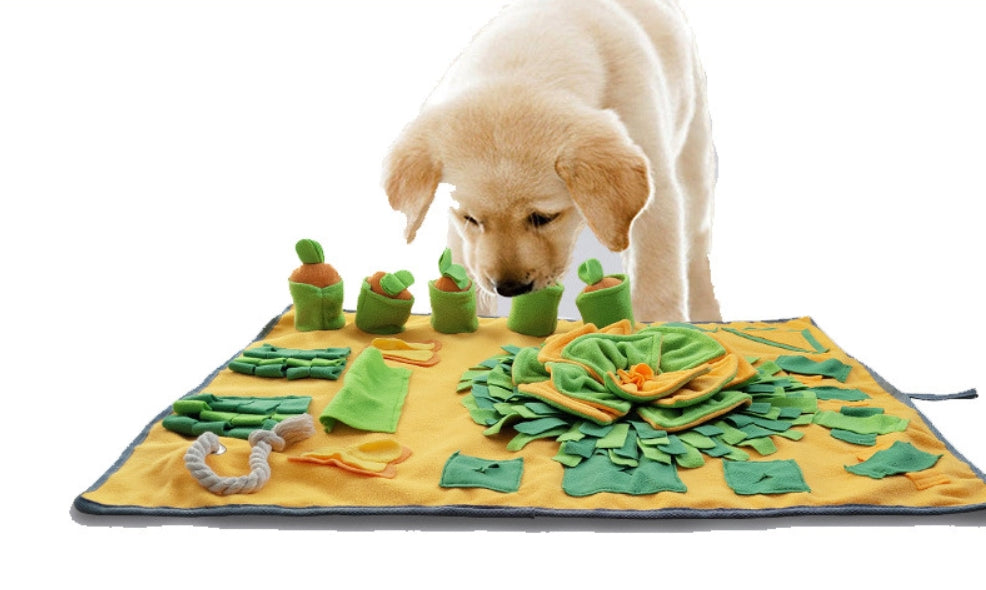 Carrot Farm Snuffle Pad for Cats and Dogs