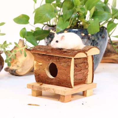 Cabane en Bois pour Souris, Hamsters et Rongeurs