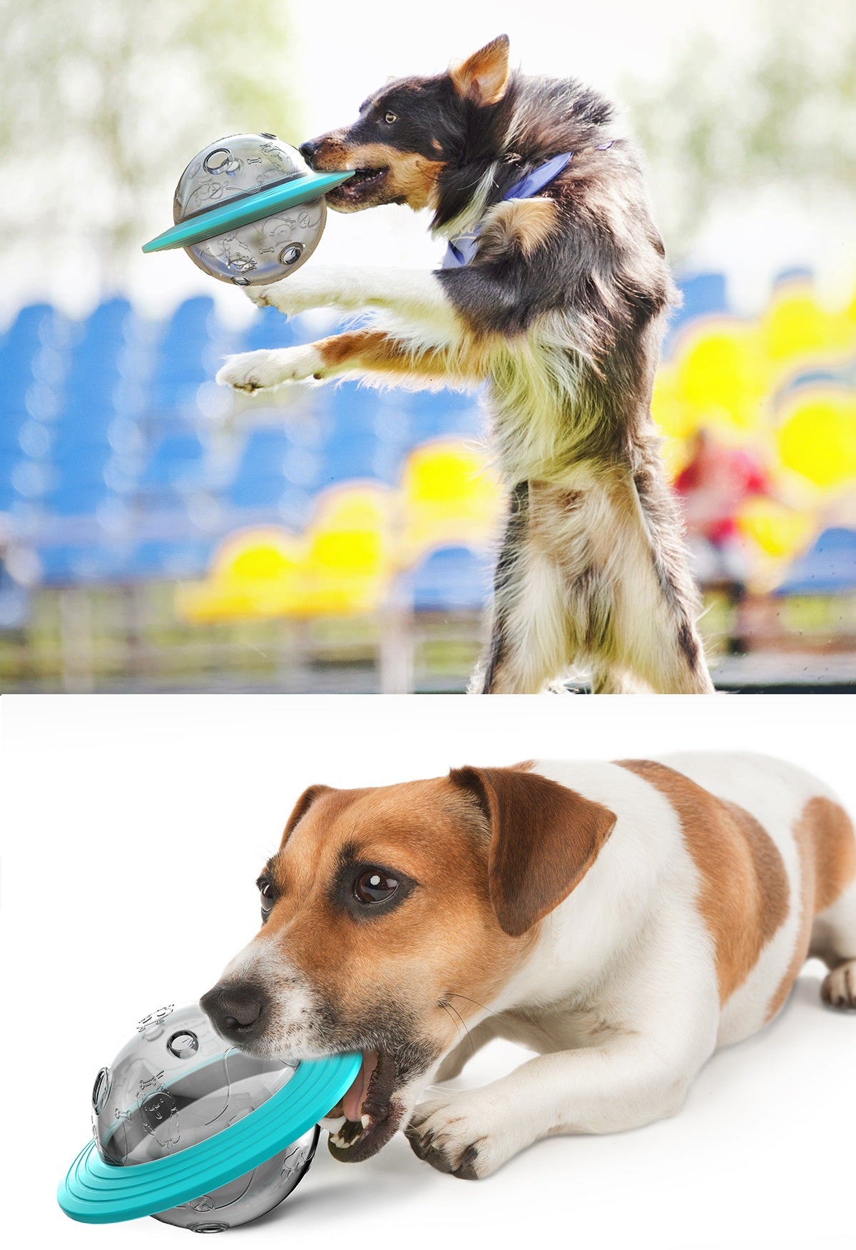 Frisbee in Planetenform und Futter-Kippspielzeug für Hunde