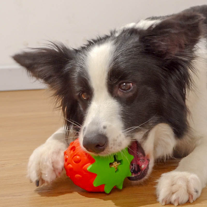 Jouet Casse-Tête Fraise pour Chien