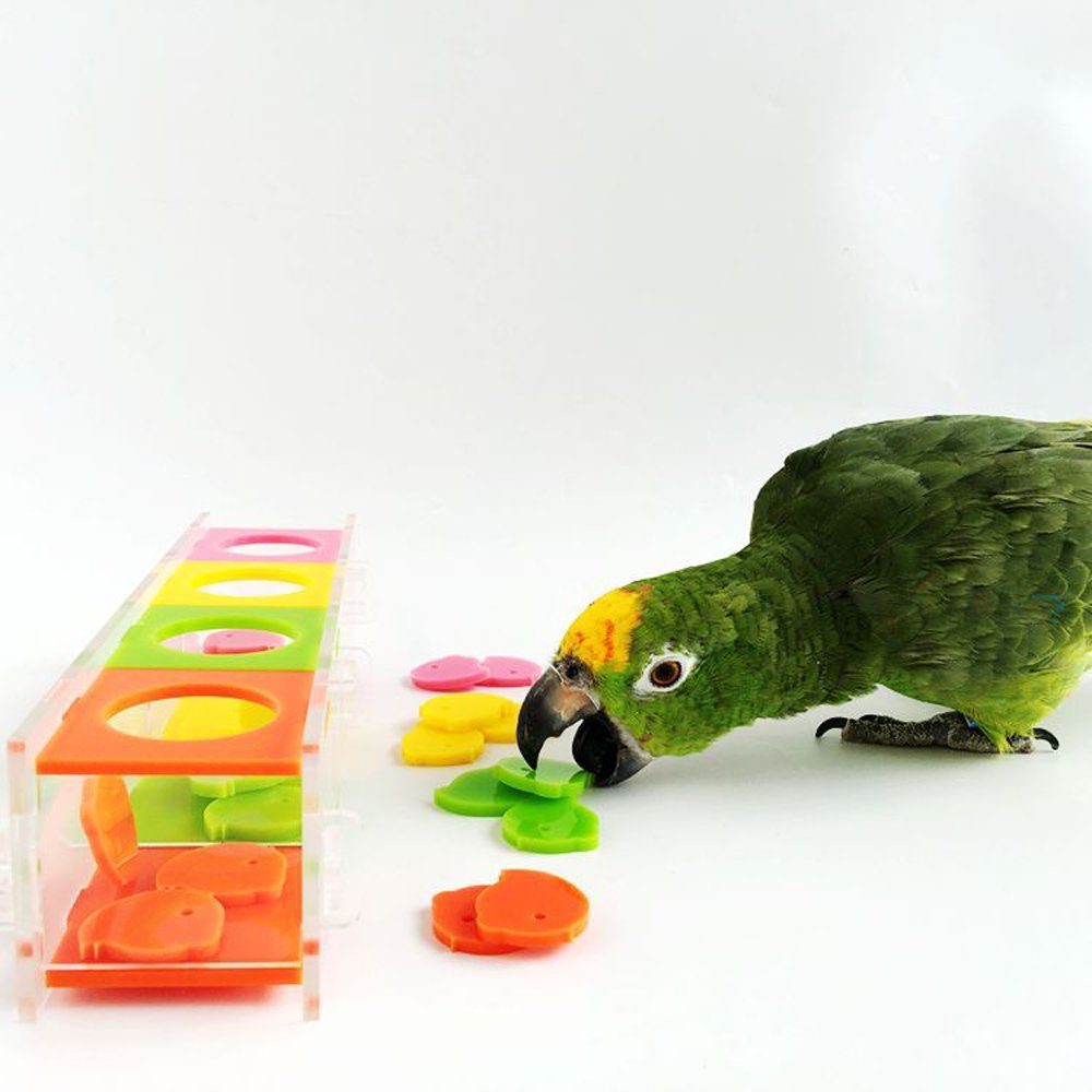 Acrylic Interactive Desktop Toy for Parrots