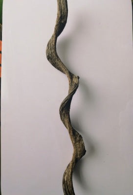 Wooden Climbing Vine for Reptiles