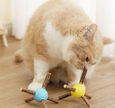 Holz- und Kunststoffspielzeug für Katzen