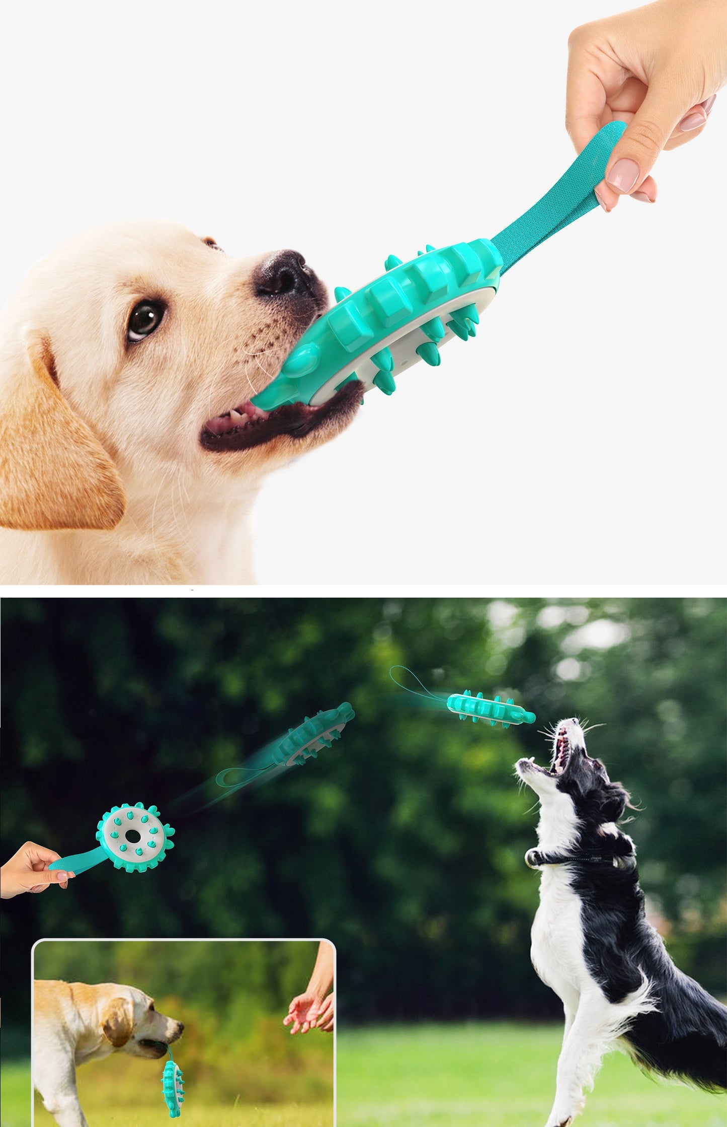 Round Spiky Fetch Toy for Dogs