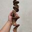 Wooden Climbing Vine for Reptiles