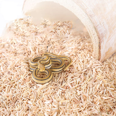 Sawdust Landscaping for Reptile Cage