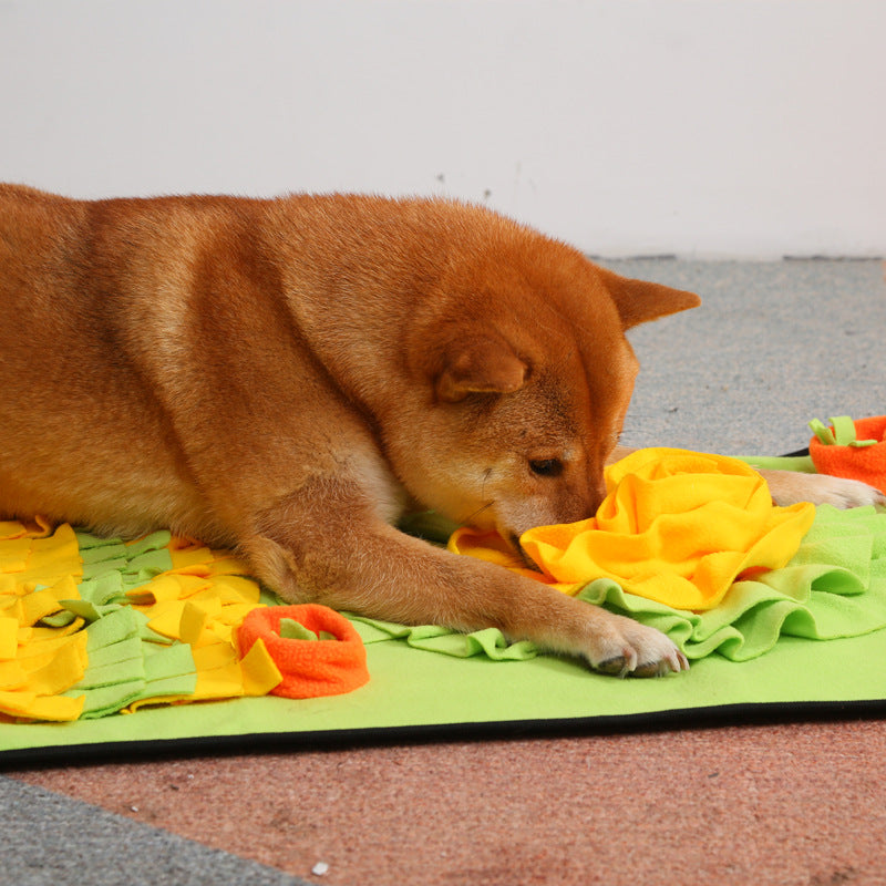 Futtersuchmatte - Schnüffelmatte als Futterpuzzle für Hunde