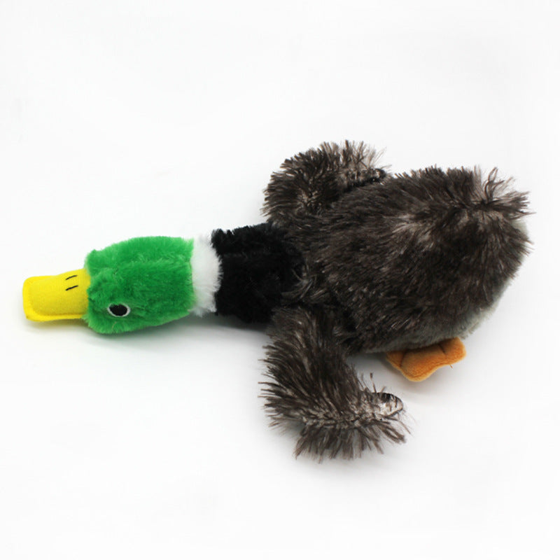 Jouet Couineur Canard en Peluche pour Chien