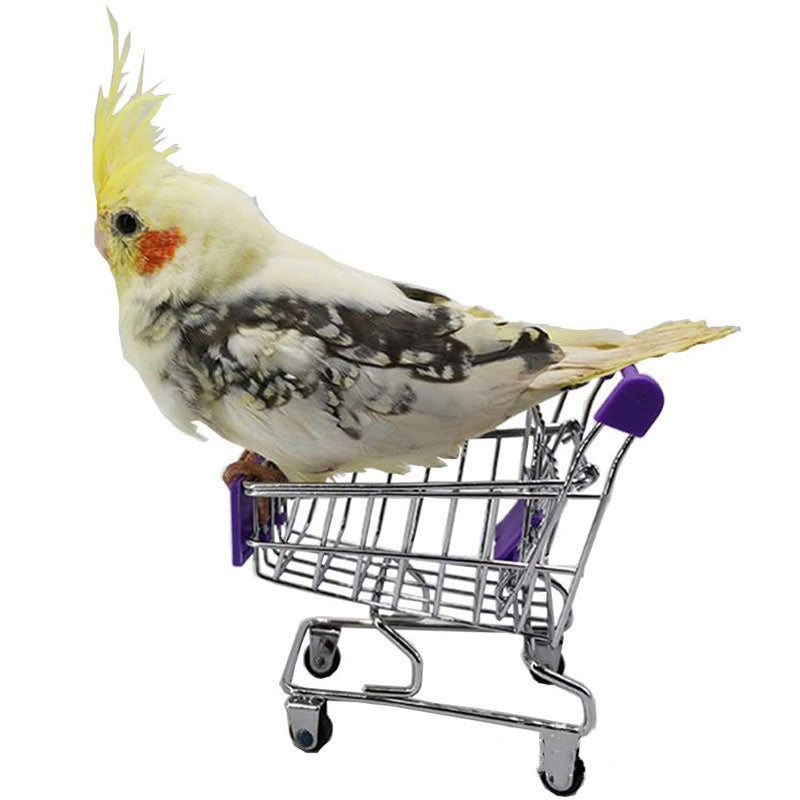 Shopping Cart Toy for Birds