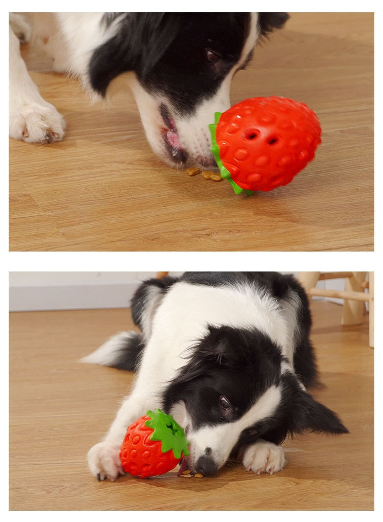 Jouet Casse-Tête Fraise pour Chien