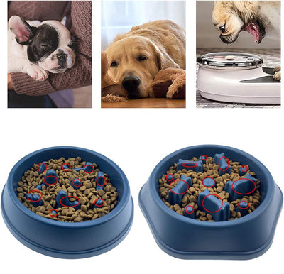 Slow Feeder Food Bowl for Dogs and Cats