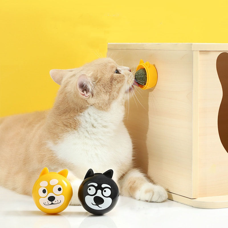 Katzenminze-Kugel in Form eines Hundekopfes für Katzen