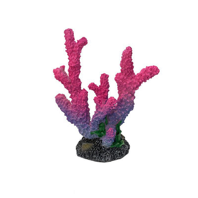 Hartsinen Koralli Akvaarioon tai Kodinsisutukseen