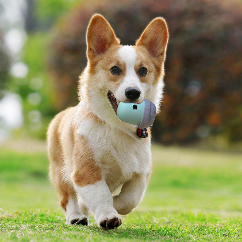 Futterausgabe-Wackelspielzeug für Hunde