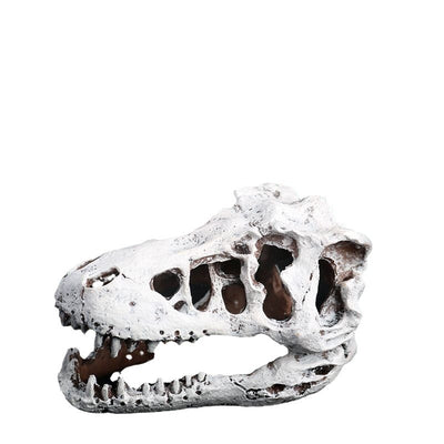 Resin Dinosaur Skull for Reptiles and Fish