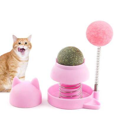 Spring Catnip Ball Toy for Cats