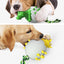 Dinosaur Egg Rope Chew Toy for Dogs