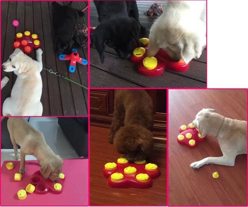 Giant Paw Food Puzzle for Dogs