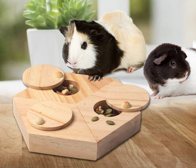 Casse-Tête Alimentaire en Bois pour Lapins, Hamsters et Chinchillas