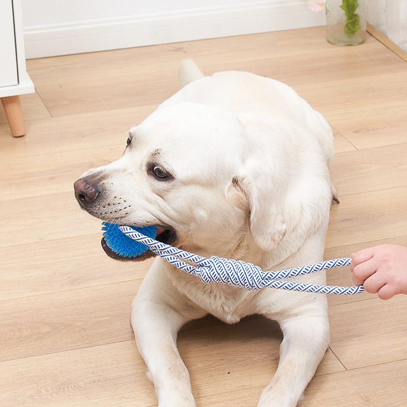 Lot de 4 Jouets en Corde pour Chien