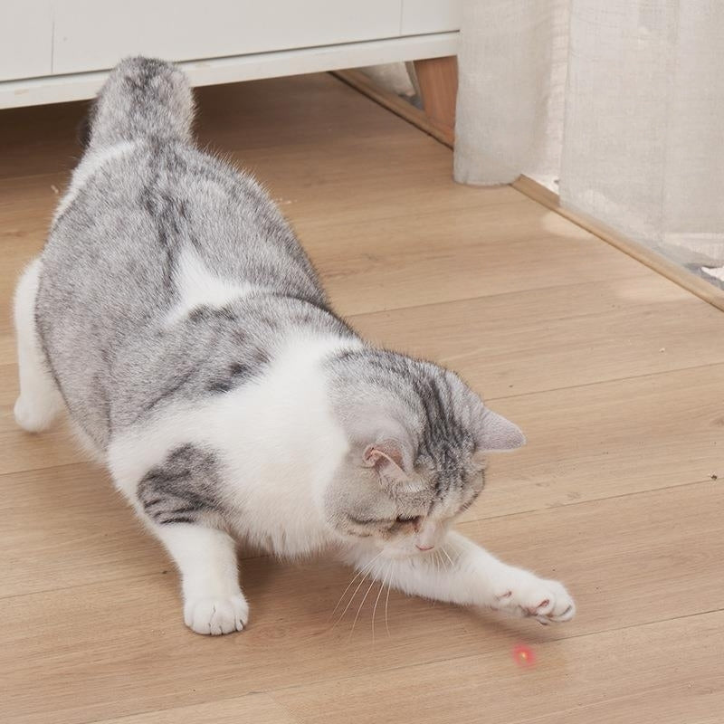 Mouse-Shaped Laser Pointer for Cats