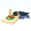 Ringspielzeug aus Holz und Acryl für Papageien