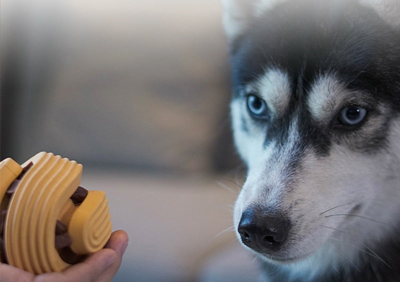 Gummi-Futterausgabe-Ball für Hunde