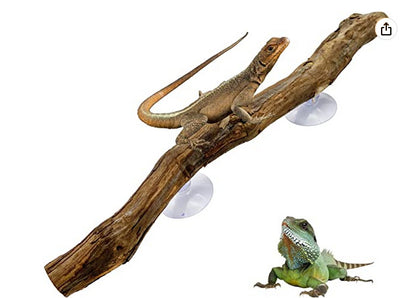 Wooden Suction Cup Stick for Reptiles