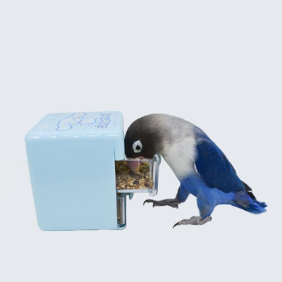 Nachttisch-Futterspielzeug für Vögel