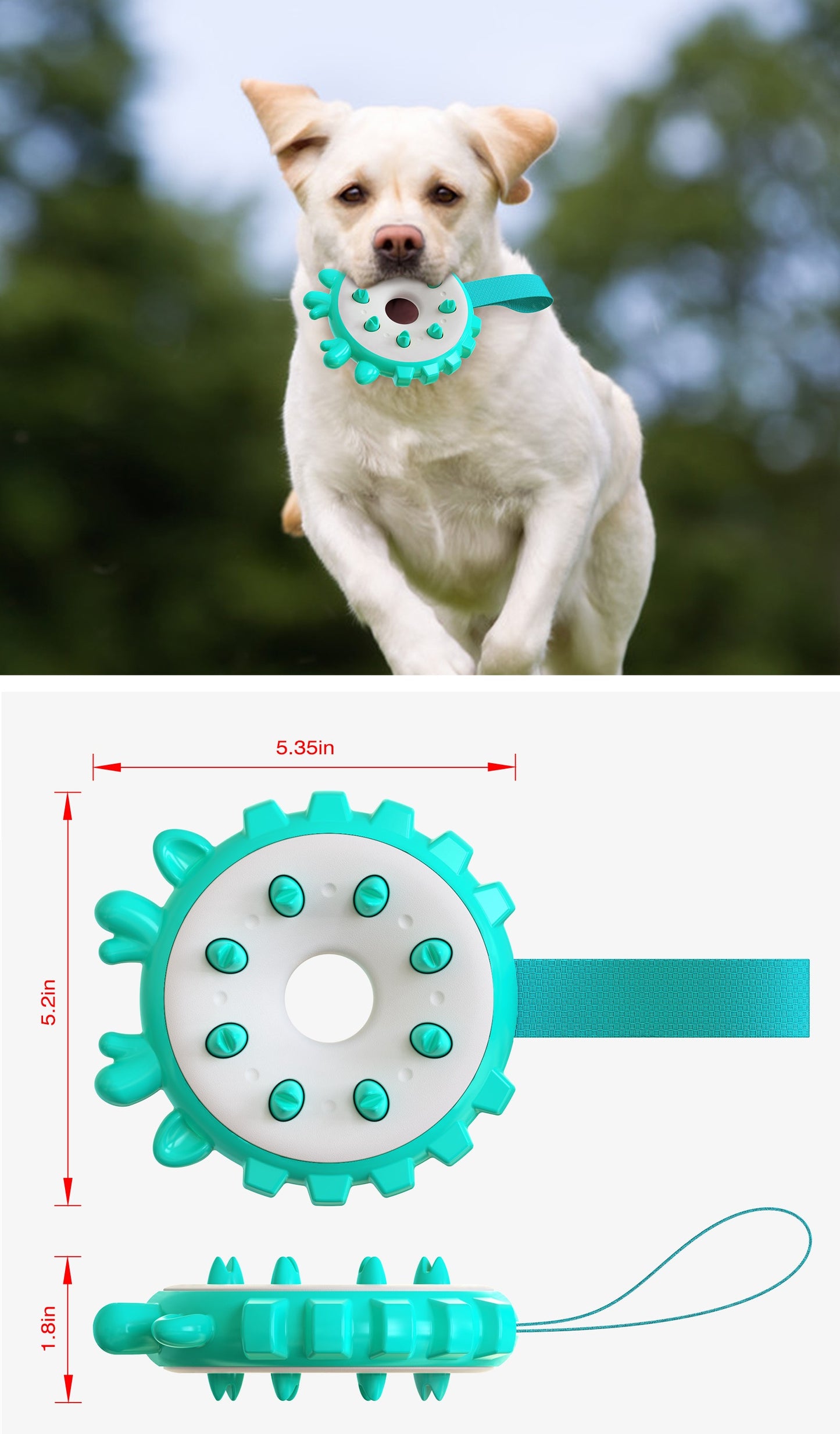 Round Spiky Fetch Toy for Dogs