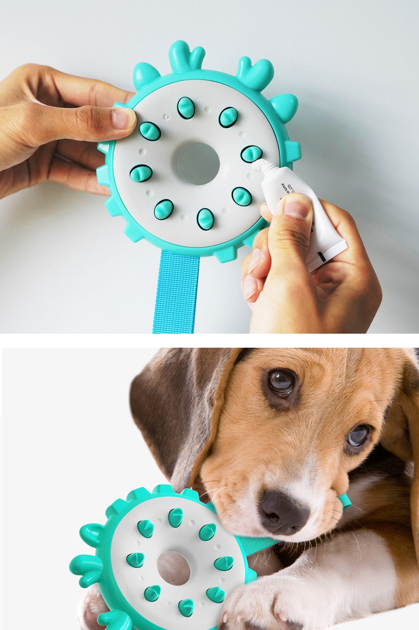 Round Spiky Fetch Toy for Dogs