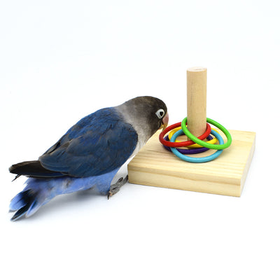 Wooden and Acrylic Ring Toy for Parrots