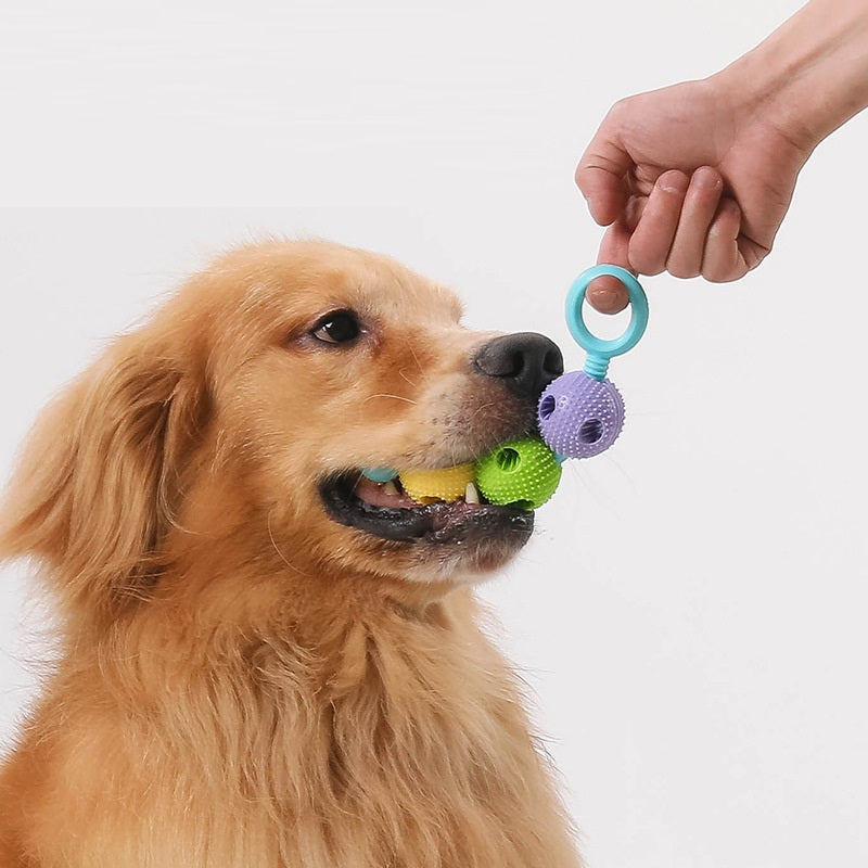 Rubber Teething Bar for Dogs