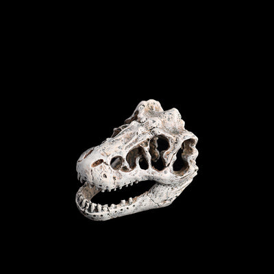 Resin Dinosaur Skull for Reptiles and Fish