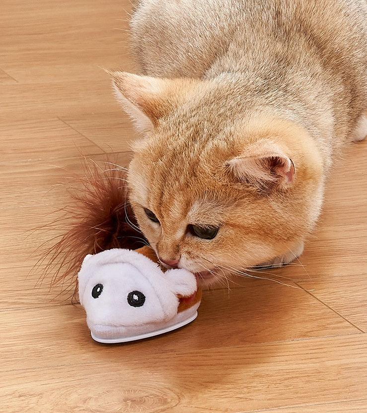 Jouet Souris Electronique pour Chat