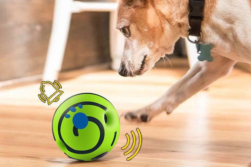 Monster Sound Ball for Dogs