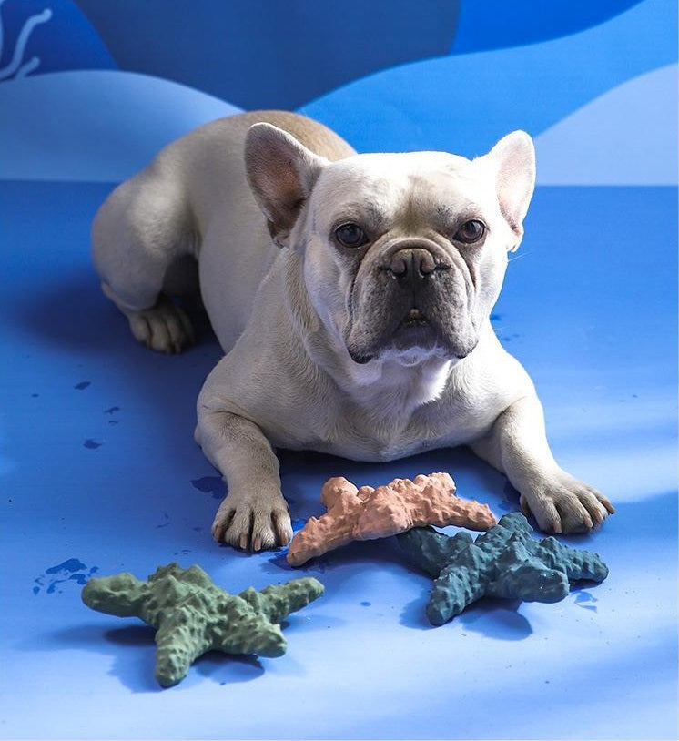 Rubber Starfish Food Leakage Toy for Dogs