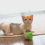 Electronic Robot Tilting Toy for Cats