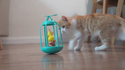 Wackelspielzeug mit Vogelkäfig und Windmühle für Katzen