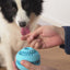 Rubber Spiky Food Puzzle Ball for Dogs