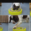 Karussell-Futterpuzzle-Schüssel für Hunde 